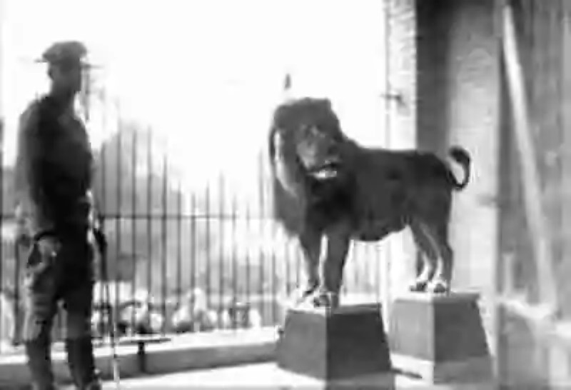 Slats, la curiosa historia del león de la Metro