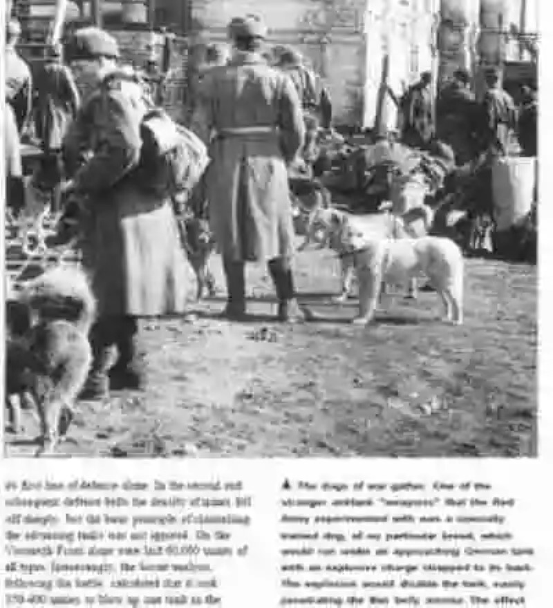 Los perros bomba de la Segunda Guerra Mundial