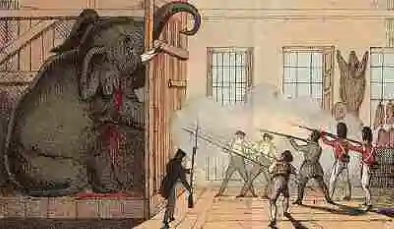 Cuando los elefantes eran condenados a muerte