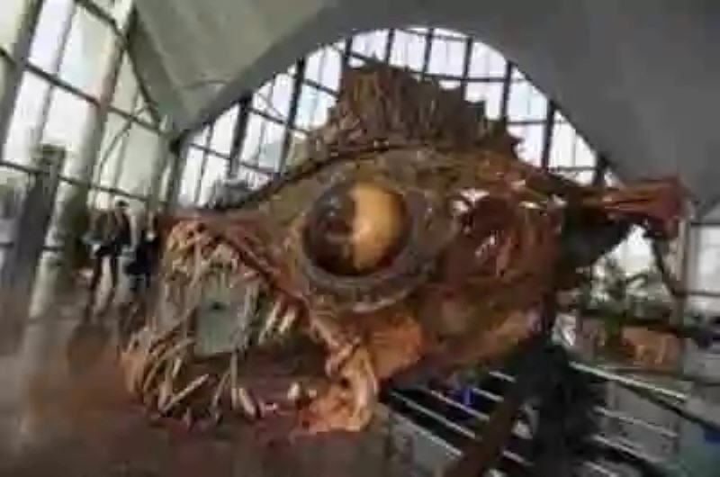 "Skeleton Sea", reciclando en arte la basura del mar
