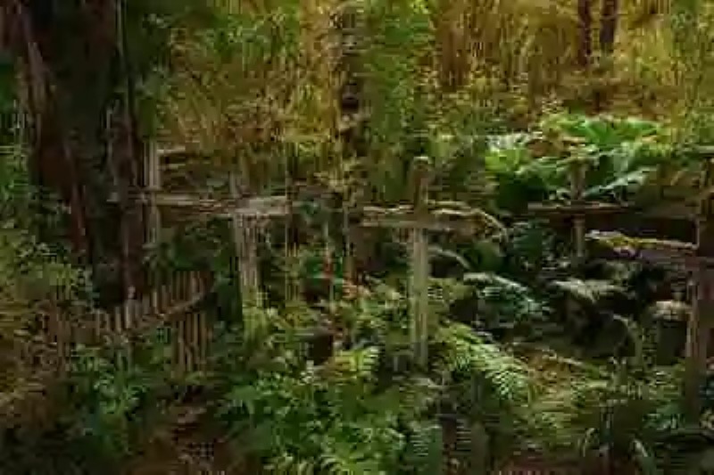 El cementerio de la Isla de los muertos, en Chile