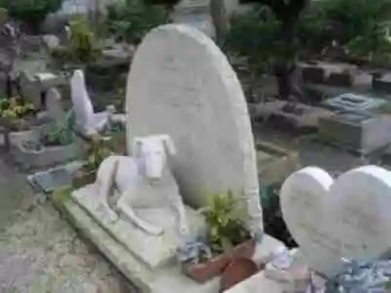 "Cimetiere des chiens", el cementerio de mascotas de París