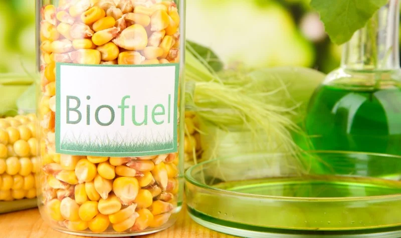 Desvío de Alimentos para Biocombustibles