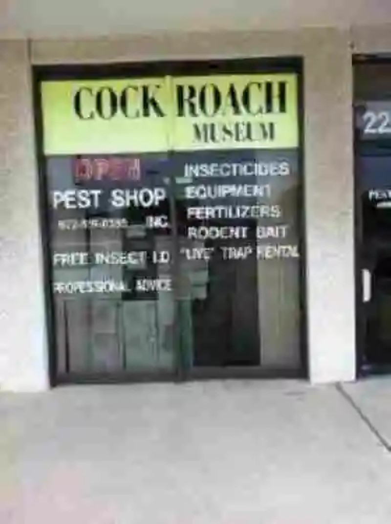 El museo de las cucarachas de Texas