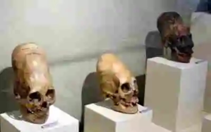 ¿Contacto extraterrestre o creación cultural? Los cráneos alargados de la cultura Chinookan