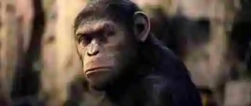 Ilya Ivanovich Ivanov: relato del esfuerzo de un científico loco por crear un hombre – mono, parte 2