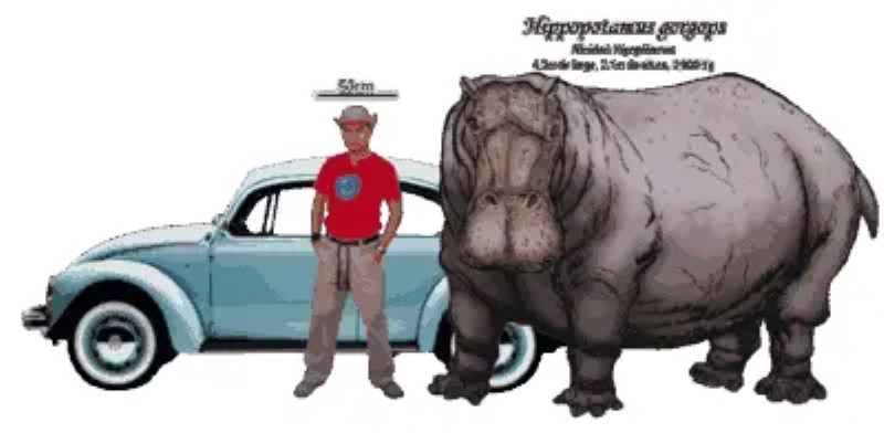 Gigantes de la tierra: animales con los que convivieron los primeros humanos, Parte 1