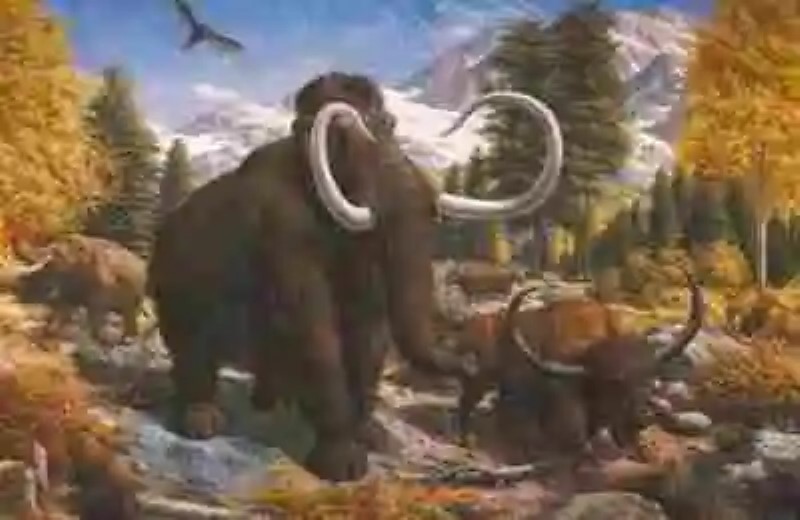 Gigantes de la tierra: animales con los que convivieron los primeros humanos, Parte 2