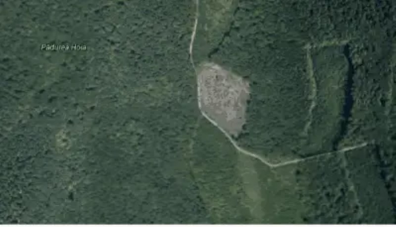 Lugares encantados: el misterioso bosque de Hoia en Rumania