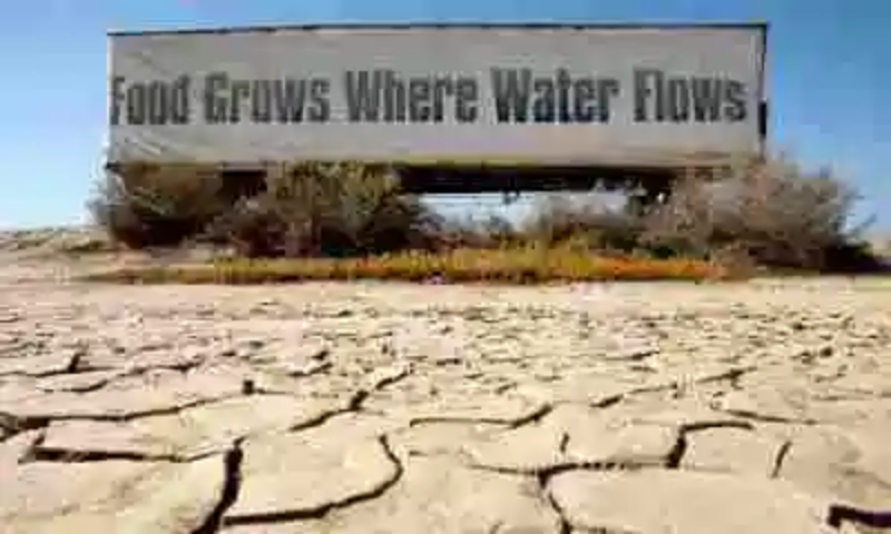 Cuando la modernidad falla: agricultores californianos contratan zahoríes para buscar fuentes de agua subterránea