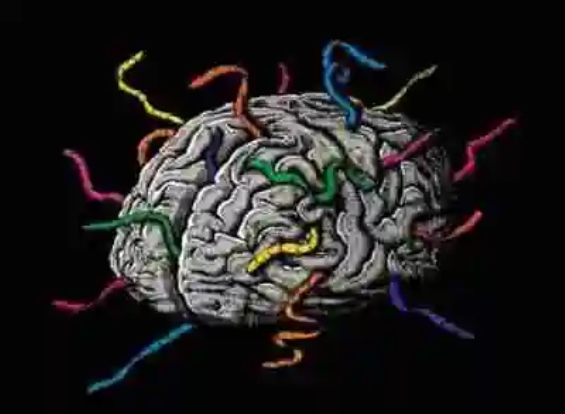 Infecciones e invasiones cerebrales: de cómo lo simple altera lo complejo