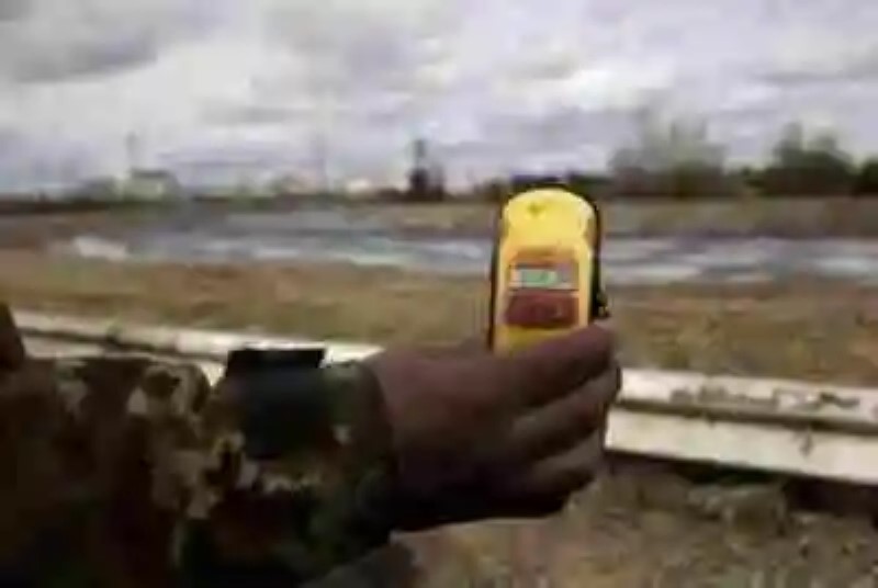 Se descubre una nueva especie de “hongos radioactivos” en Chernóbil: