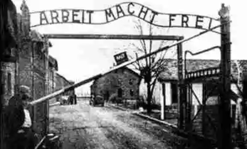 ¿Fue el Holocausto tal como lo pintan?