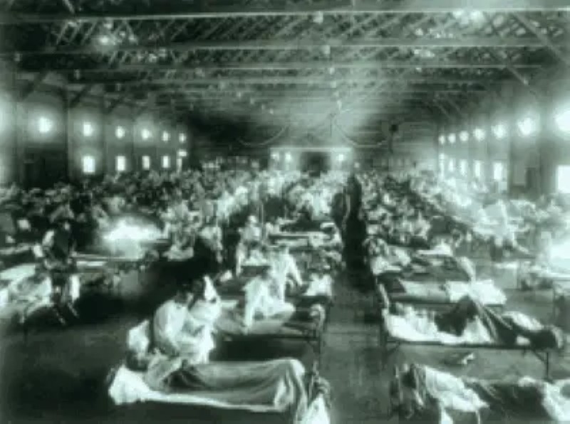 Las peores epidemias de la Historia, parte 4: la epidemia de Influenza