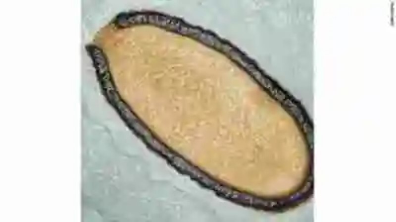 Criogenia microscópica: un virus gigante de 30 mil años de edad vuelve a la vida