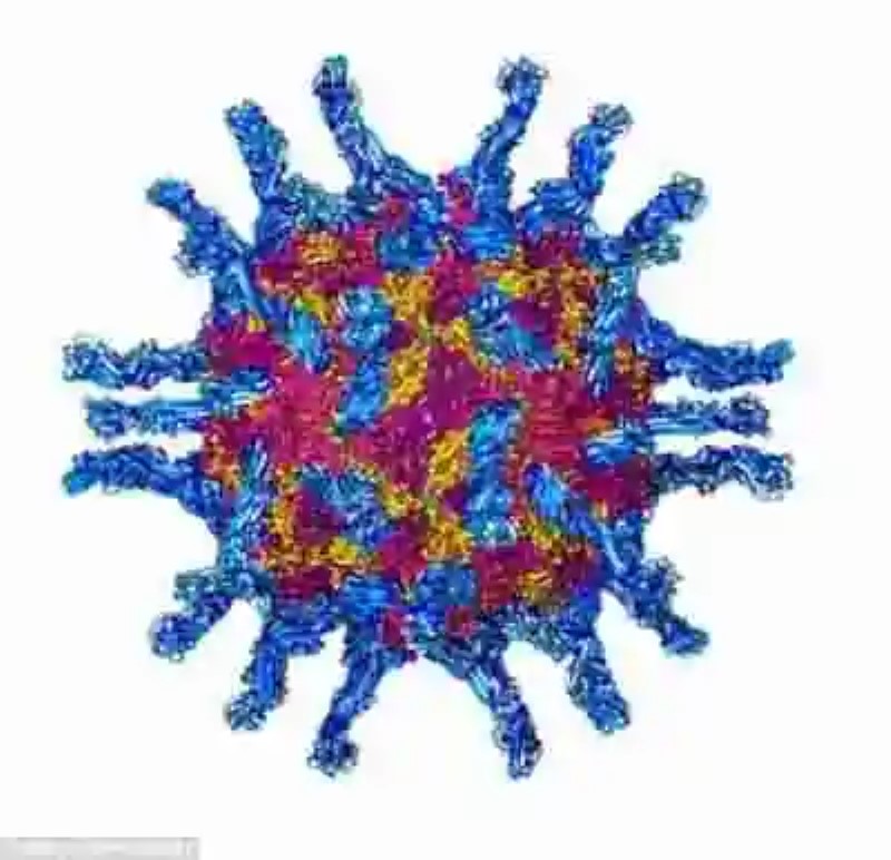 Científicos desarrollan un virus que “persigue” las células cancerígenas