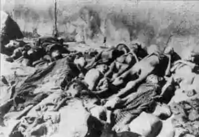 El genocidio armenio: La gran marcha hacia el desierto
