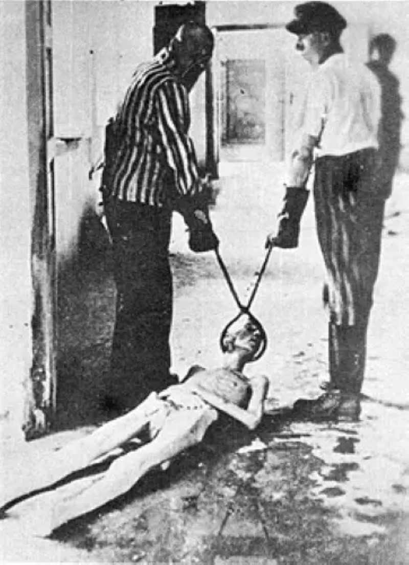 Mengele, el Prototipo del Científico Loco