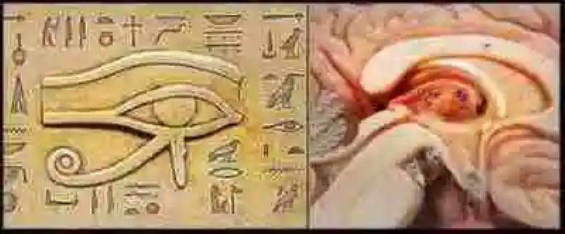 Ocultismo, matemáticas y fisiología: el emblemático Ojo de Horus