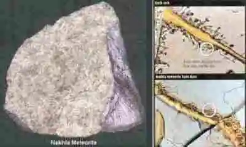 El Meteorito de Nakhla, ¿prueba de vida microbiana en Marte?