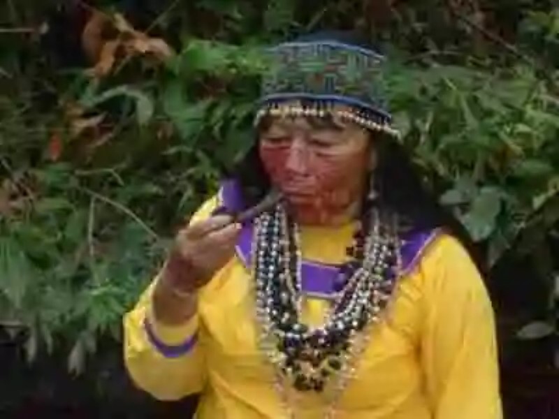 Plantas de los dioses: La ayahuasca