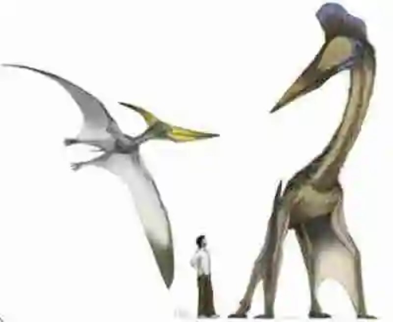 Gigantes de los cielos: ¿qué sabemos de los Pterosaurios? Parte 1