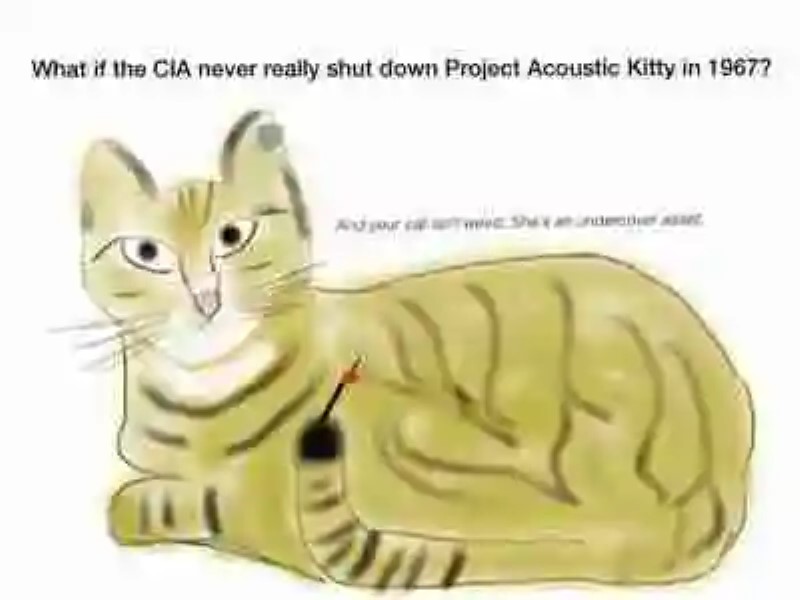 ¿Puede un gato convertirse en un espía? Psicosis y el Proyecto “Gatito Acústico”
