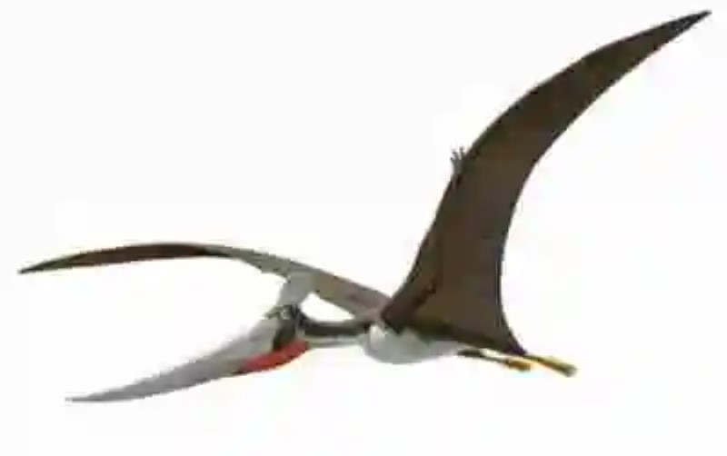 Se encuentra el fósil de un pequeño pterosaurio que habitó con las primeras aves