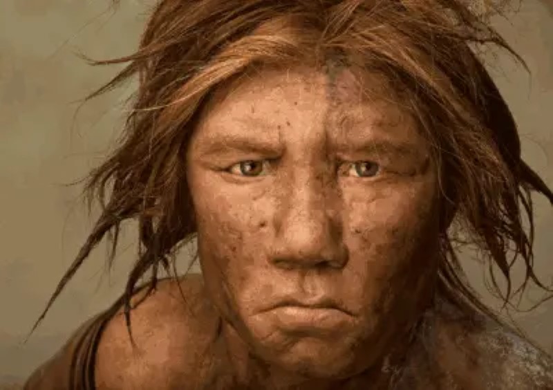 Neandertales y Cromagnones