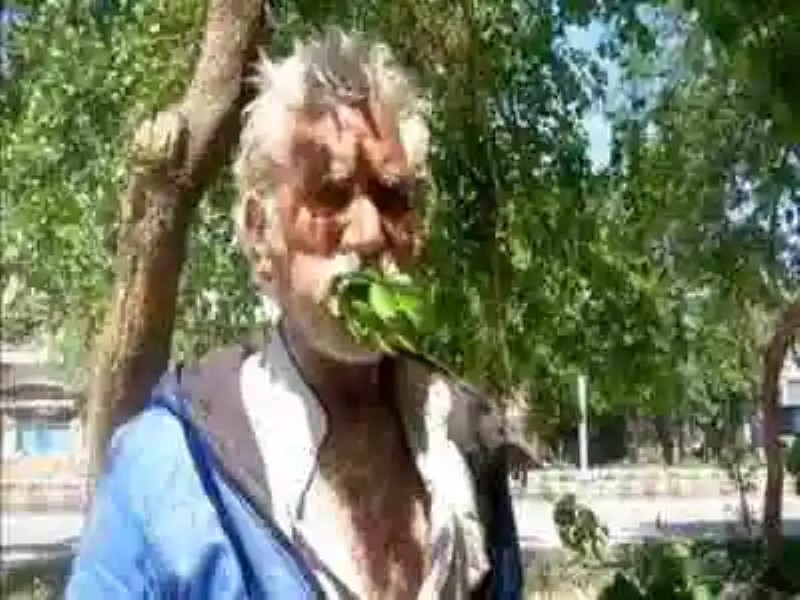 Hombre en Pakistán afirma que puede sobrevivir alimentándose únicamente de ramas y hojas