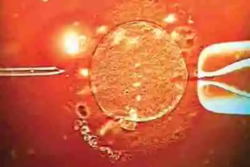 Por primera vez en la Historia científicos “reparan” el ADN de un embrión que tenía problemas genéticos