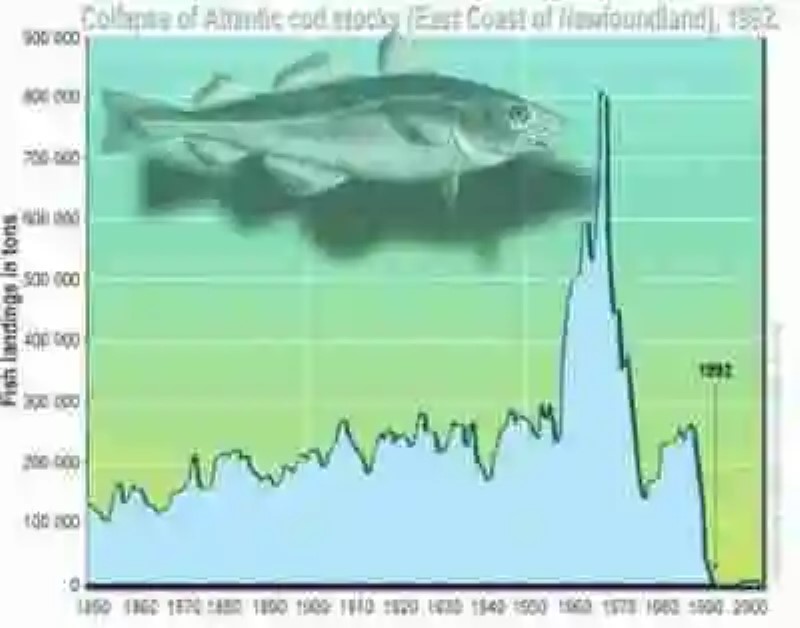 El Colapso de las Pesquerías del Norte, o de cómo nos quedamos sin bacalao