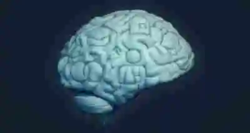 Científicos en busca del “espacio de la memoria” en el cerebro
