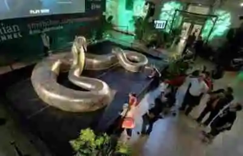 Titanoboa: la serpiente más grande que ha existido