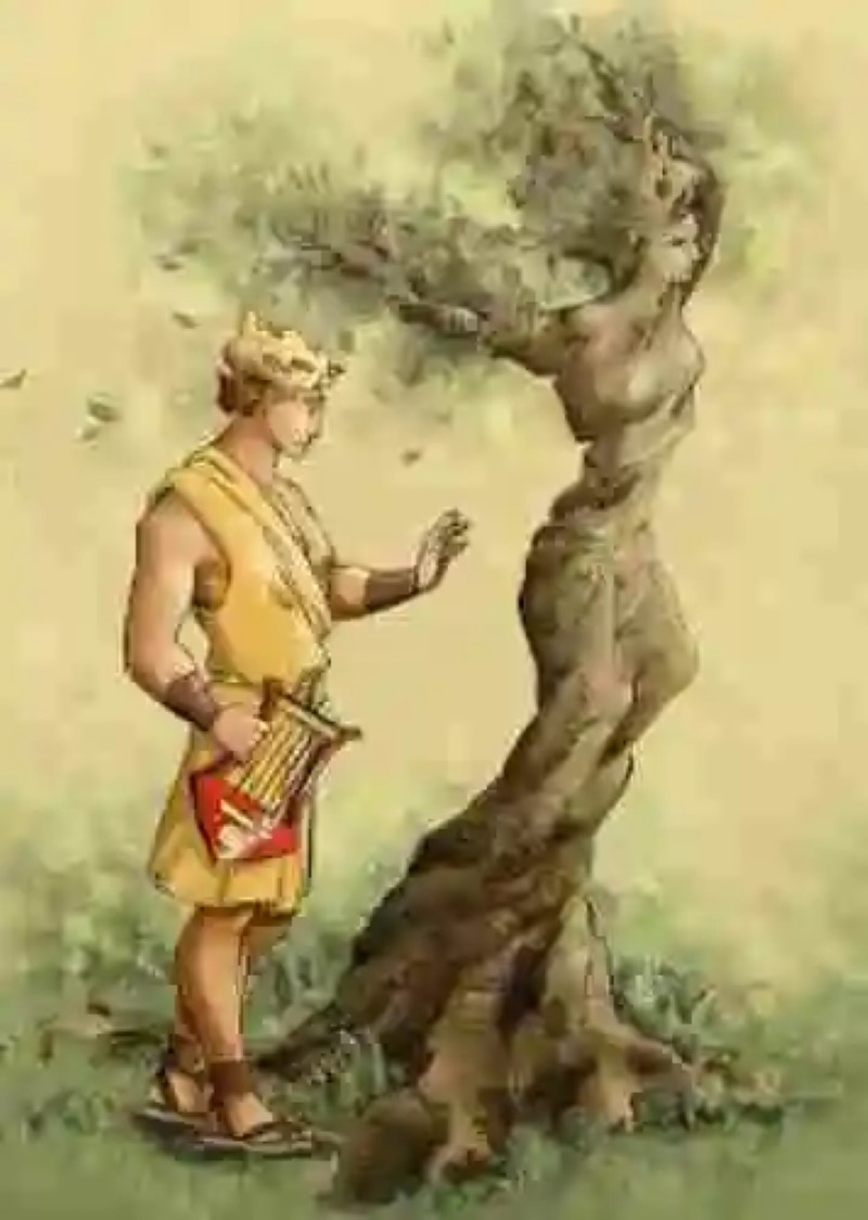 Apolo, la insistencia y las ramas de laurel