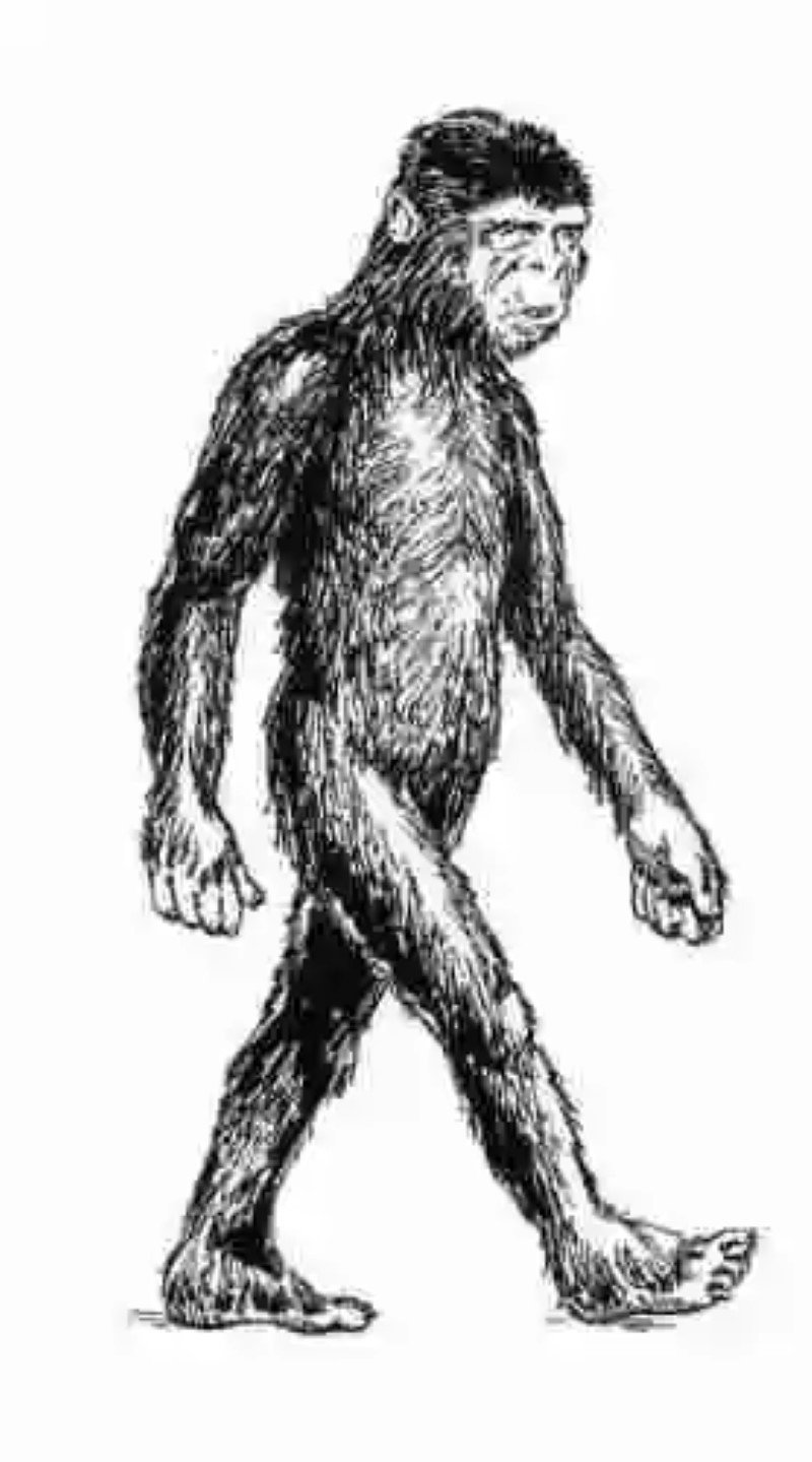Didi, o el misterio del “Hombre Mono” de Guyana