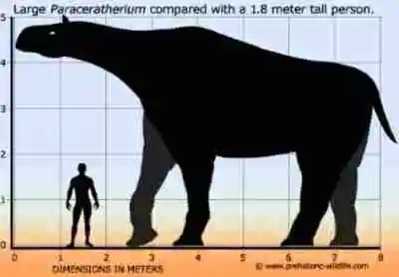 Los 7 animales más grandes en la Historia de la Tierra