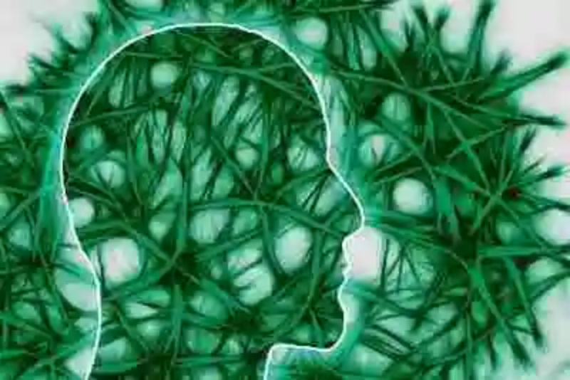 Implantación de recuerdos y optogenética: la mayor revolución de las neurociencias