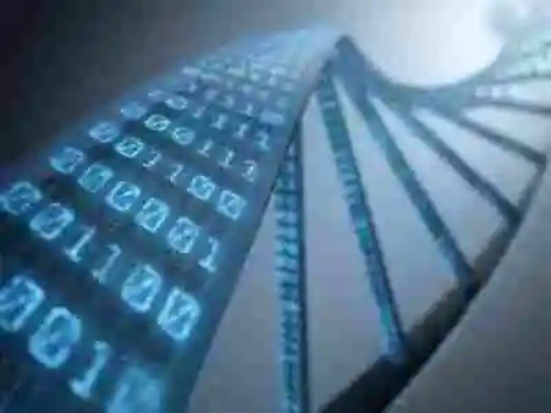 Científicos desarrollan una manera de encriptar información en ADN
