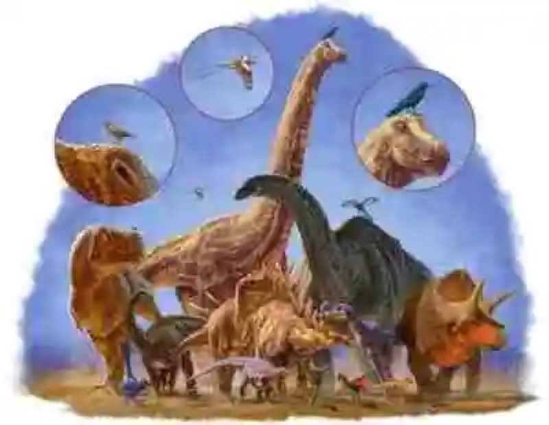 ¿Por qué las aves fueron la única rama de los dinosaurios que sobrevivió a la extinción?