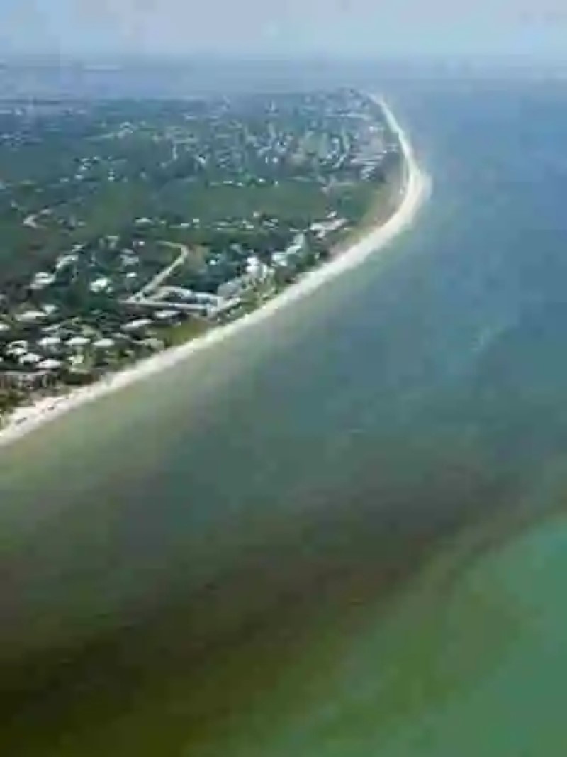 Una “Marea Roja” asola las costas de Florida