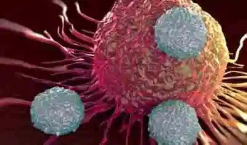 Científicos modifican ADN de células cancerígenas que las llevan a destruir a sus homólogas no intervenidas
