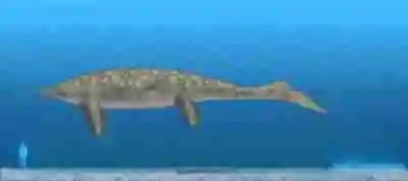 Se descubre en el Reino Unido lo que podría ser el ictiosaurio (y el animal marino) más grande de la historia