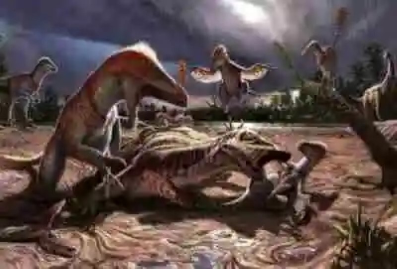 Los 8  datos más impresionantes sobre los dinosaurios