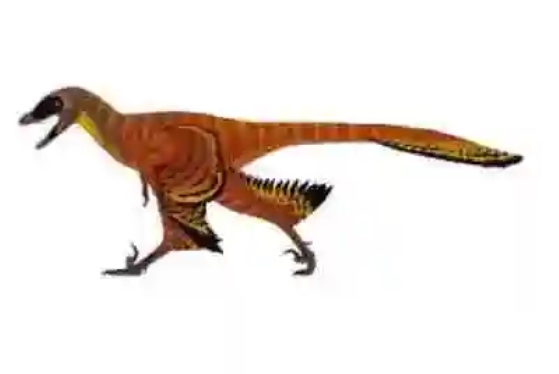 Los 8  datos más impresionantes sobre los dinosaurios