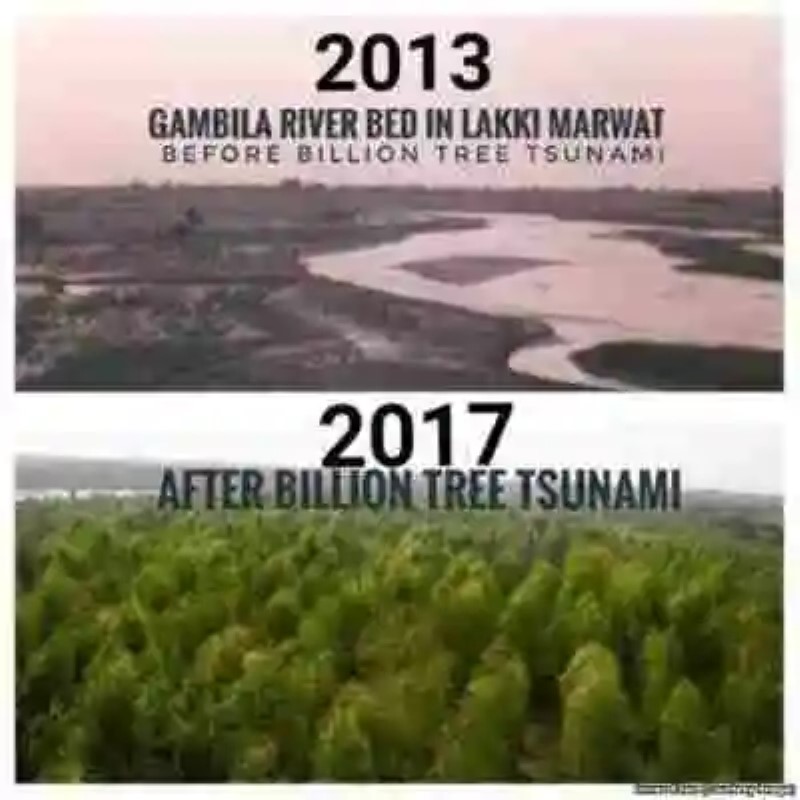 “Cruzada verde” en Pakistán busca sembrar más de mil millones de árboles