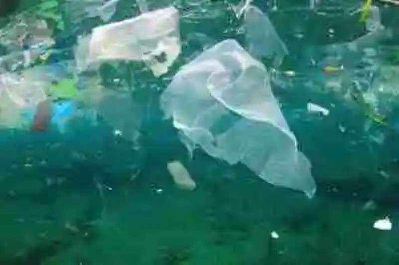 La era del plástico: ¿qué tan grande es el parche gigante de basura en medio del Pacífico?