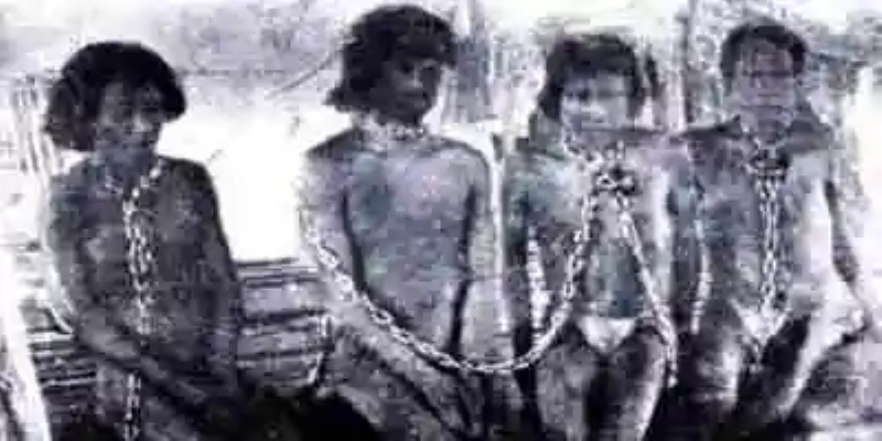 La conquista del Amazonas y la esclavización del Indígena: breve resumen de la Fiebre del Caucho