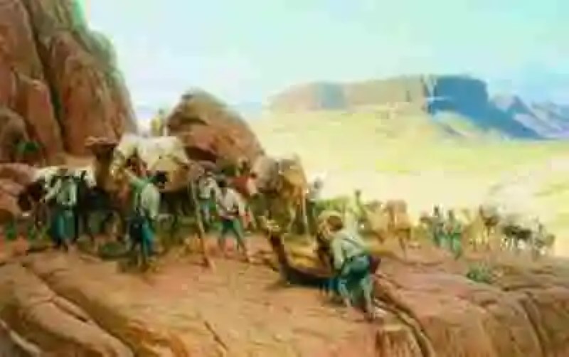 El día que Estados Unidos quiso crear un cuerpo de jinetes a camello para su ejército