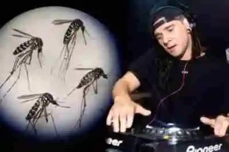 Estudio científico demuestra que los zancudos pican y se reproducen menos si les ponen música de Skrillex